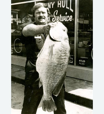 Record photograph for Aplodinotus grunniens